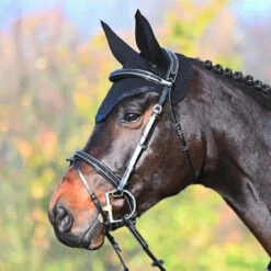 Jump'In Carat Bridle 21 Jump'In Carat Bridle -Marys Tack and Feed Store carat bridle one collection black 43567.1734633032