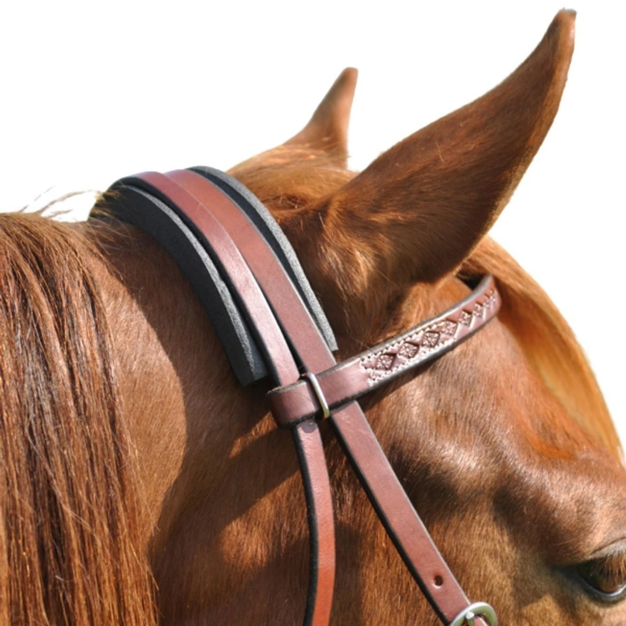 Cashel Cavesson Channel 3 Cashel Cavesson Channel