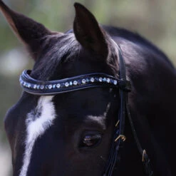 Halter Ego Charleston Double Bridle -Marys Tack and Feed Store charleston bridle dawn to dusk brow halter ego 84539.1682643012