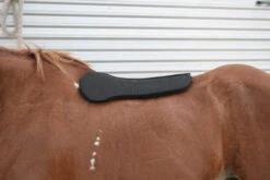 Circle Y Long Shoulder Bridge Pad 3/4" Or 1" 8 Circle Y Long Shoulder Bridge Pad 3/4" Or 1" -Marys Tack and Feed Store circle y long shoulder bridge pad 3 4 or 1 3 95277.1530647799
