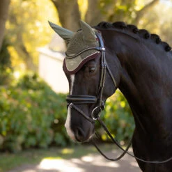LeMieux Classic Ear Bonnet AW25 -Marys Tack and Feed Store classic fly bonnet au25 rosemary lifestyle IT06960 lemieux 36847.1755642186