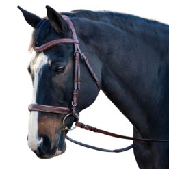ADT Classique Anatomic Bridle | Brown