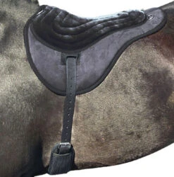 Best Friend Comfort Plus Bareback Pad -Marys Tack and Feed Store comfort plus bareback pad black best friend 55062.1674535397