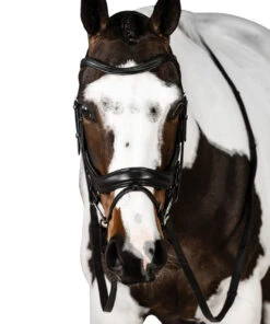 Lara Tweedie Connection Snaffle Bridle -Marys Tack and Feed Store connection snaffle black front CONNECTION lara tweedie 69184.1713903521