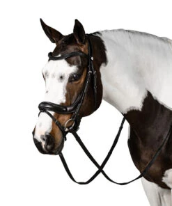 Lara Tweedie Connection Snaffle Bridle