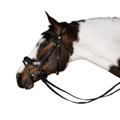 Lara Tweedie Connection Snaffle Bridle -Marys Tack and Feed Store connection snaffle black side stretch lara tweedie 03129.1713903521