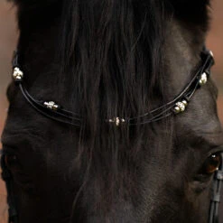 Kavalkade Cord Browbands 13 Kavalkade Cord Browbands -Marys Tack and Feed Store cord grace brow black lifestyle 20244 kavalkade 53596.1716219150