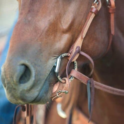 Classic Equine Twisted Wire Snaffle D-Ring 5 Classic Equine Twisted Wire Snaffle D-Ring -Marys Tack and Feed Store d ring twist wire snaffle lifestyle TBBIT3DR25 classic equine 03490.1674684591