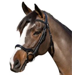 Halter Ego Deauville Anatomical Jumper Bridle -Marys Tack and Feed Store deauville jumper bridle black halter ego 16705.1687998614