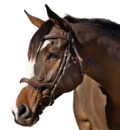 Halter Ego Deauville Anatomical Jumper Bridle -Marys Tack and Feed Store deauville jumper bridle brown left halter ego 55546.1687998645