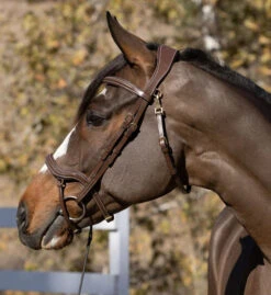 Halter Ego Deauville Anatomical Jumper Bridle -Marys Tack and Feed Store deauville jumper bridle brown side halter ego 37092.1687998625