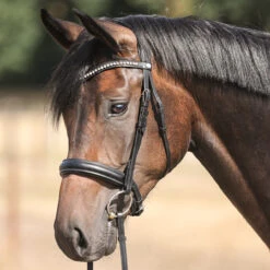 Kavalkade Diana Snaffle Bridle -Marys Tack and Feed Store diana snaffle bridle without flash horse 19034 kavalkade 02114.1733935354