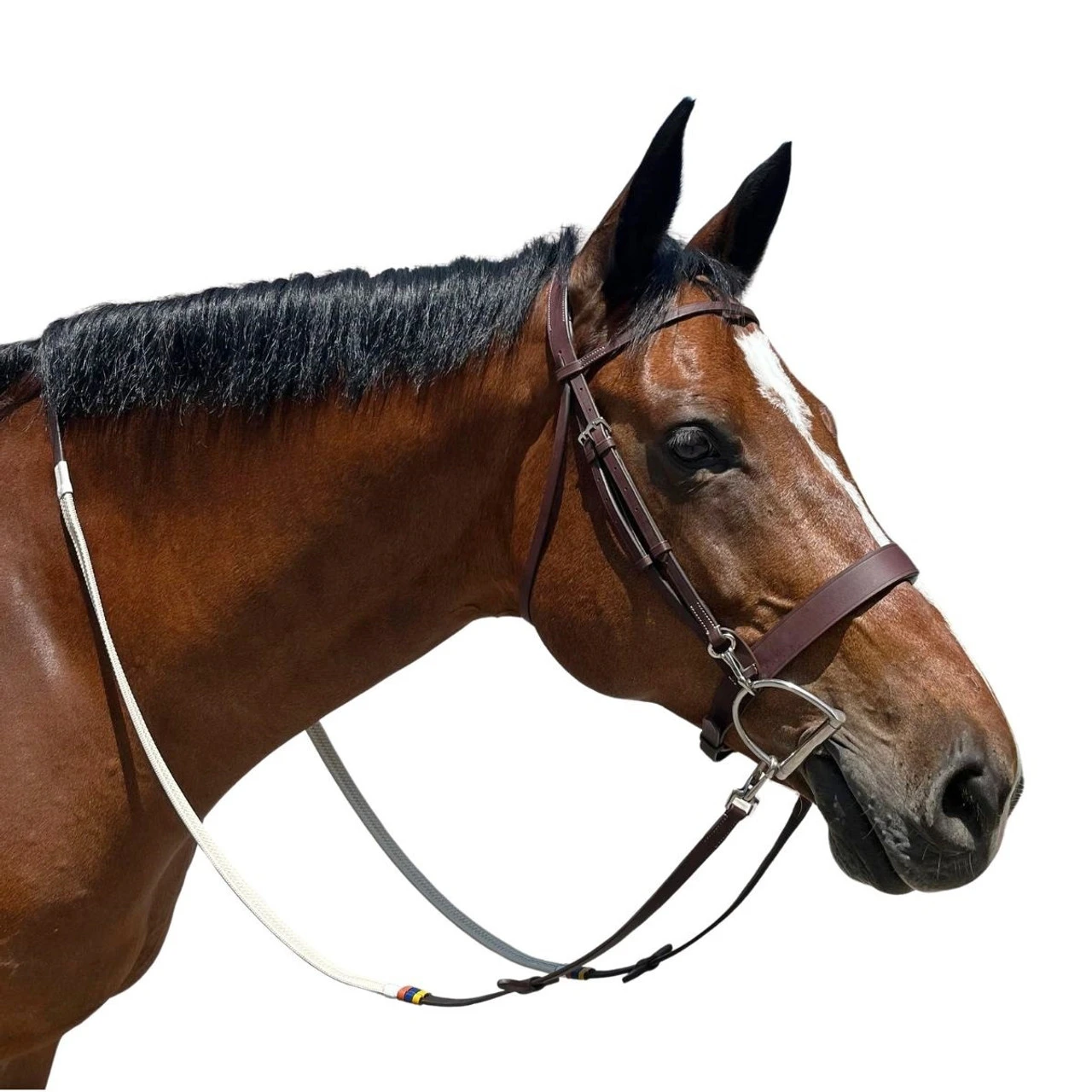 DziaSport Easy-Change Bridle 3 DziaSport Easy-Change Bridle