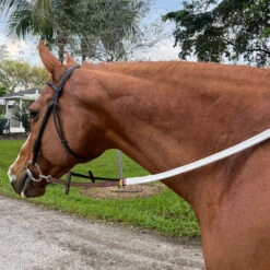 DziaSport Easy-Change Bridle 7 DziaSport Easy-Change Bridle -Marys Tack and Feed Store easy change schooling bridle no noseband dziasport 09594.1733441021