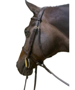 DziaSport Easy-Off Standing Martingale -Marys Tack and Feed Store easy off martingale brown chin dzia sport 22396.1635963391