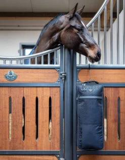 LeMieux Elite Pro Bridle Bag -Marys Tack and Feed Store elite pro bridle bag stall lemieux 67563.1689195549