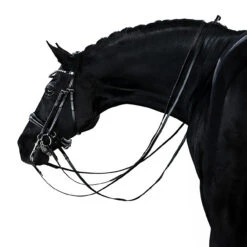 Lara Tweedie Essential Double Bridle 11 Lara Tweedie Essential Double Bridle -Marys Tack and Feed Store essential double black back lara tweedie 37254.1712844851