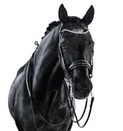 Lara Tweedie Essential Double Bridle 13 Lara Tweedie Essential Double Bridle -Marys Tack and Feed Store essential double black front lara tweedie 95045.1712844851