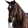 Lara Tweedie Patent Essential Double Bridle -Marys Tack and Feed Store essential double black patent front lara tweedie 96746.1712845362