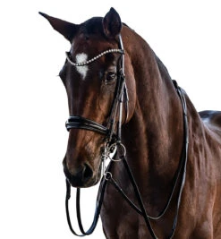 Lara Tweedie Patent Essential Double Bridle