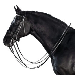 Lara Tweedie Essential Double Bridle 14 Lara Tweedie Essential Double Bridle -Marys Tack and Feed Store essential double black side lara tweedie 65442.1712844851