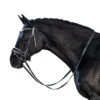 Lara Tweedie Patent Essential Snaffle Bridle 1 Lara Tweedie Patent Essential Snaffle Bridle -Marys Tack and Feed Store essential snaffle black patent white side lara tweedie 35733.1712845712