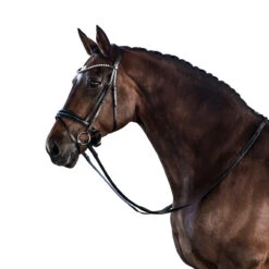 Lara Tweedie Essential Snaffle Bridle -Marys Tack and Feed Store essential snaffle black side lara tweedie 63057.1712845008