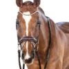 Lara Tweedie Essential Snaffle Bridle -Marys Tack and Feed Store essential snaffle flash havana front lara tweedie 71927.1712845008