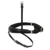 Passier Exchangeable Cavesson Special + Flash -Marys Tack and Feed Store exchangeable cavesson special flash black 822 passier 10536.1712845718