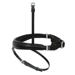 Passier Exchangeable Cavesson Special + Flash