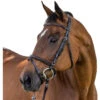 Vespucci New Fancy Raised Jump Bridle -Marys Tack and Feed Store fancy raised jump bridle new brown 810454N vespucci 42992.1726241611
