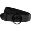 Vestrum Faro Belt -Marys Tack and Feed Store faro belt black hero 52 V U8509 20102 vestrum 69694.1758563878