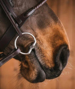 Fager Martin Sweet Iron FL Fixed Ring -Marys Tack and Feed Store fixed ring cheeks in use fager 15135.1721426351