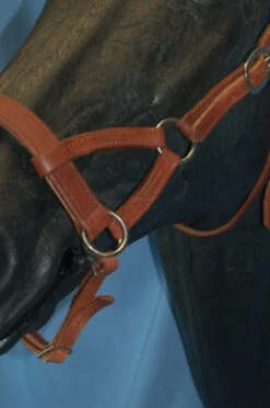 Buckaroo Leather Flat Nose Sidepull 17 Buckaroo Leather Flat Nose Sidepull -Marys Tack and Feed Store flat nose sidepull buckaroo leather 47 39765 58268.1527296611