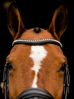 KL Select Flexion Rolled Weymouth Bridle -Marys Tack and Feed Store flexion rolled bridle black browband KL select 52655.1712845001