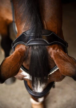 KL Select Flexion Rolled Weymouth Bridle -Marys Tack and Feed Store flexion rolled bridle black crown KL select 01210.1712845001