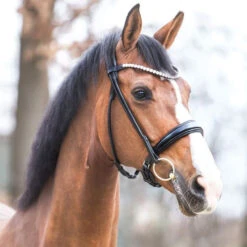 Kavalkade Florina Rolled Snaffle Bridle -Marys Tack and Feed Store florina snaffle bridle black horse 19047 07 kavalkade 47178.1680908667
