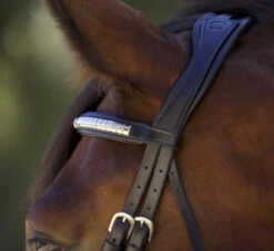 Halter Ego Galway Jumper Bridle 8 Halter Ego Galway Jumper Bridle -Marys Tack and Feed Store galway bridle dark brown crown halter ego 22166.1690244085