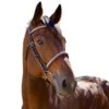 Halter Ego Galway Jumper Bridle -Marys Tack and Feed Store galway jumper bridle nut brown hero halter ego 78802.1690244061