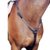 Nunn Finer Elastic Hunt Breastplate 2 Nunn Finer Elastic Hunt Breastplate -Marys Tack and Feed Store hunt breastplate elastic 83 nunn finer 65441.1643842987