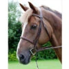 Dy'on Raised Fancy Stitch Hunter Bridle -Marys Tack and Feed Store hunter bridle dyon 50775.1567117481