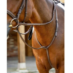 LeMieux Hunter Standing Martingale 6 LeMieux Hunter Standing Martingale -Marys Tack and Feed Store hunter standing martingale havana horse IT04448 lemieux 42715.1732665437
