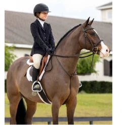 LeMieux Hunter Standing Martingale 7 LeMieux Hunter Standing Martingale -Marys Tack and Feed Store hunter standing martingale havana lifestyle IT04448 lemieux 41737.1732665437