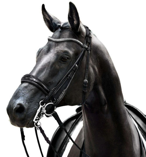 Passier Icarus Rolled Double Bridle 4 Passier Icarus Rolled Double Bridle - Image 2