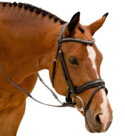 KL Select Impulsion Snaffle Bridle