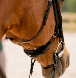 KL Select Impulsion Snaffle Bridle -Marys Tack and Feed Store impulsion snaffle black crank 110302 KL select 84582.1713903927