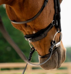 KL Select Impulsion Snaffle Bridle -Marys Tack and Feed Store impulsion snaffle black crank throat 110302 KL select 74864.1713903927