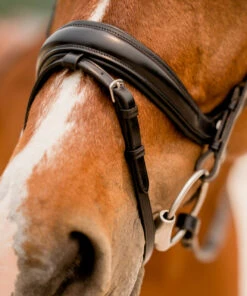 KL Select Impulsion Snaffle Bridle -Marys Tack and Feed Store impulsion snaffle black noseband flash 110302 KL select 24224.1713903927
