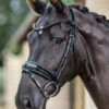 LeMieux Kudos Patent Dressage Bridle
