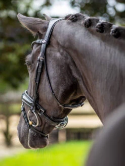 LeMieux Kudos Patent Dressage Bridle -Marys Tack and Feed Store kudos patent snaffle blk blk horse chin IT03552 lemieux 90054.1721447136